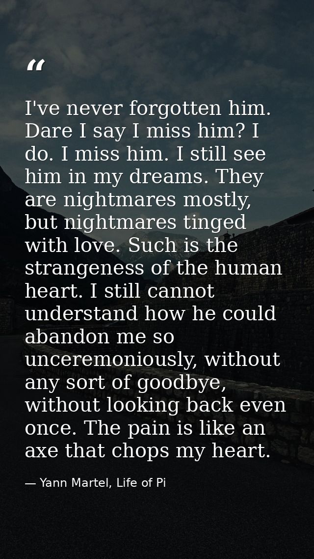 I've never forgotten him. Dare I say I miss him? I do. I miss him. I still see him in my dreams. They are nightmares mos — Yann Martel, Life of Pi