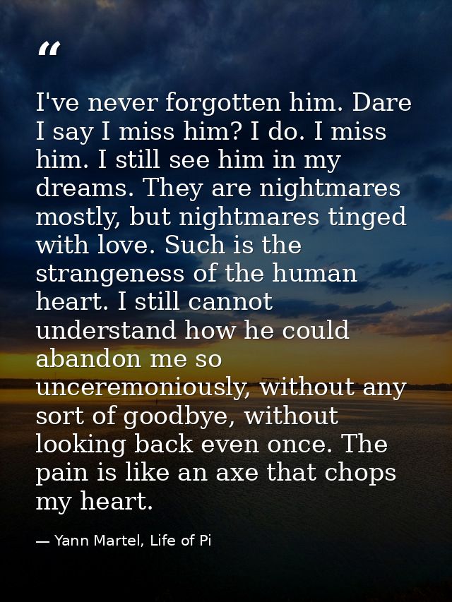 I've never forgotten him. Dare I say I miss him? I do. I miss him. I still see him in my dreams. They are nightmares mos — Yann Martel, Life of Pi