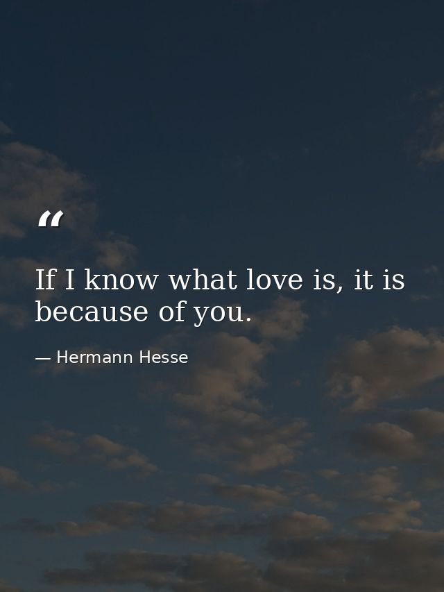 If I know what love is, it is because of you. — Hermann Hesse