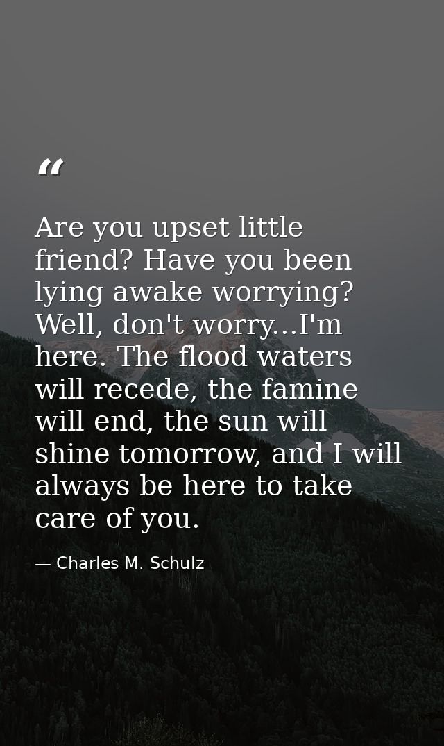 Are you upset little friend? Have you been lying awake worrying? Well, don't worry...I'm here. The flood waters will rec — Charles M. Schulz