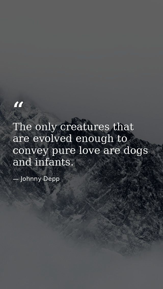 The only creatures that are evolved enough to convey pure love are dogs and infants. — Johnny Depp