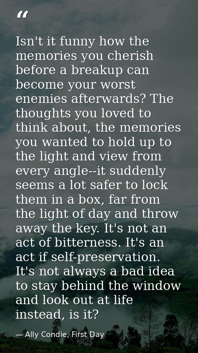 Isn't it funny how the memories you cherish before a breakup can become your worst enemies afterwards? The thoughts you  — Ally Condie, First Day