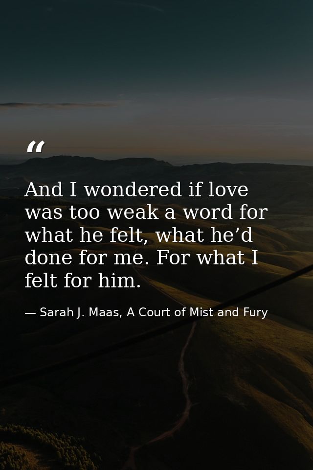 And I wondered if love was too weak a word for what he felt, what he’d done for me. For what I felt for him. — Sarah J. Maas, A Court of Mist and Fury