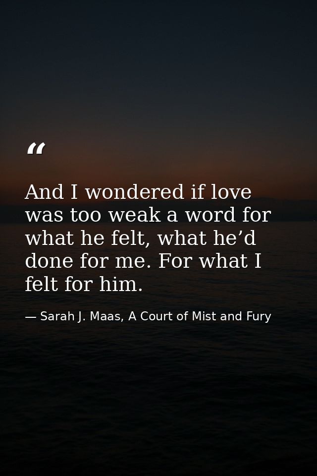 And I wondered if love was too weak a word for what he felt, what he’d done for me. For what I felt for him. — Sarah J. Maas, A Court of Mist and Fury