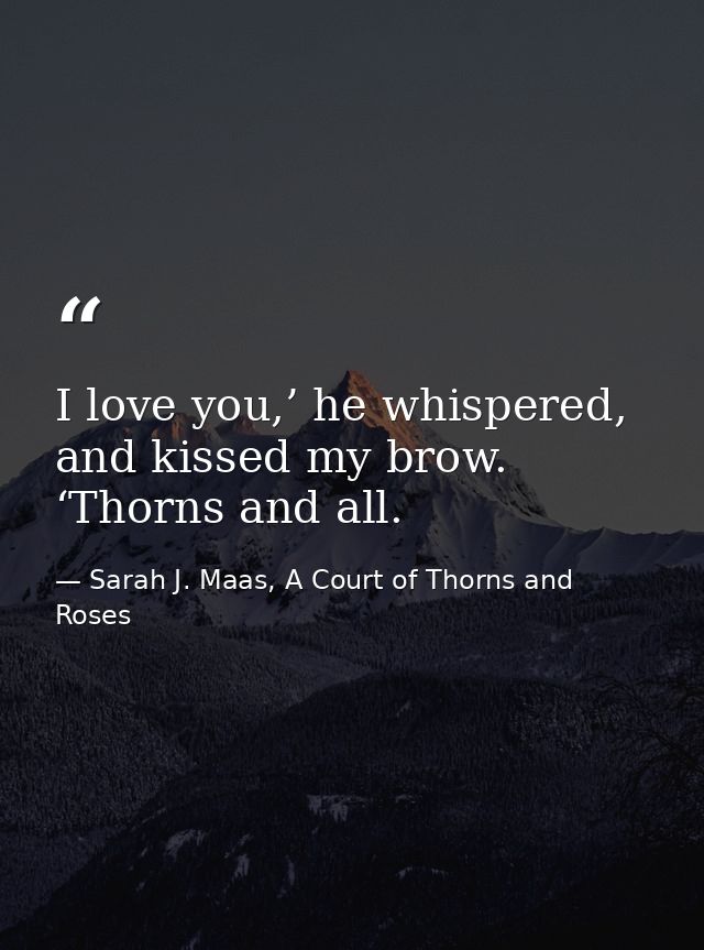 I love you,’ he whispered, and kissed my brow. ‘Thorns and all. — Sarah J. Maas, A Court of Thorns and Roses