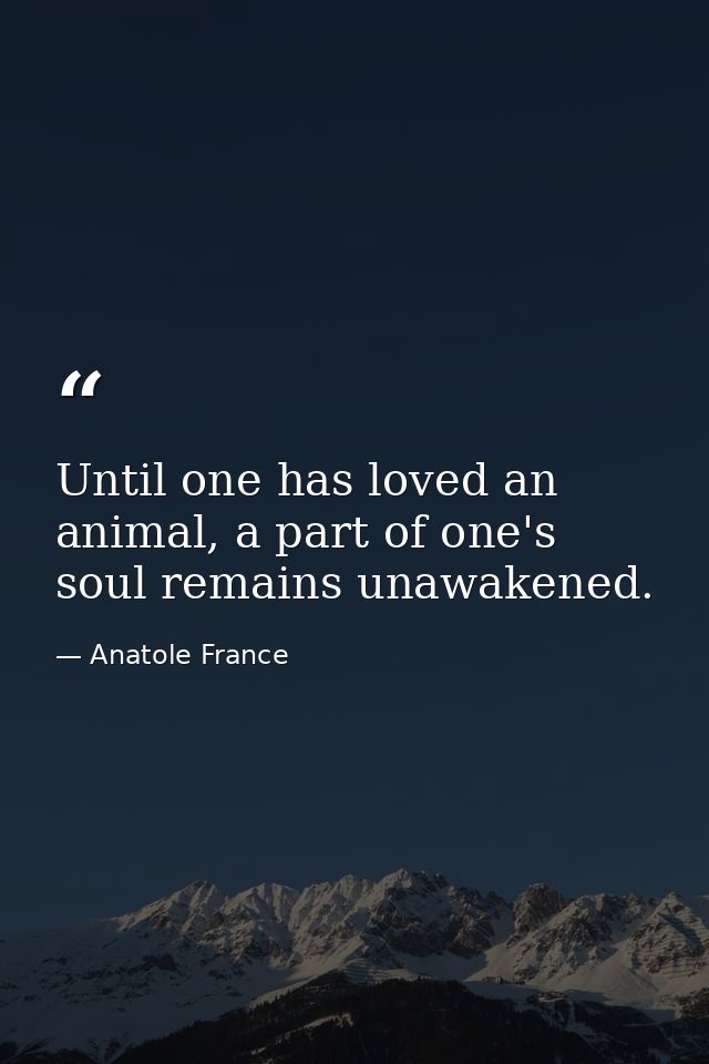 Until one has loved an animal, a part of one's soul remains unawakened. — Anatole France
