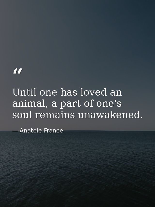 Until one has loved an animal, a part of one's soul remains unawakened. — Anatole France