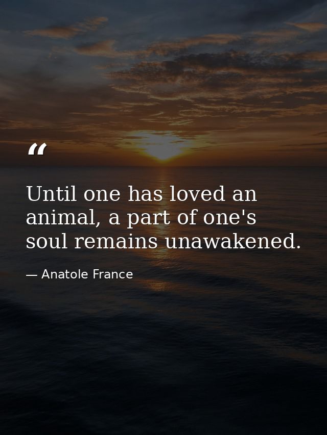 Until one has loved an animal, a part of one's soul remains unawakened. — Anatole France