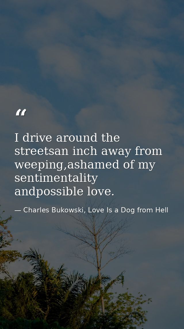 I drive around the streetsan inch away from weeping,ashamed of my sentimentality andpossible love. — Charles Bukowski, Love Is a Dog from Hell