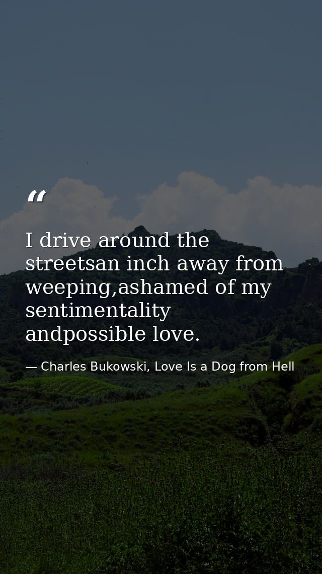 I drive around the streetsan inch away from weeping,ashamed of my sentimentality andpossible love. — Charles Bukowski, Love Is a Dog from Hell