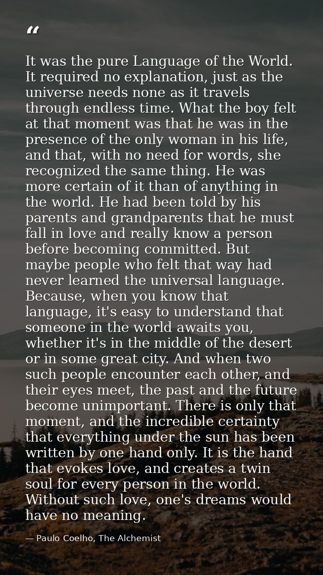 It was the pure Language of the World. It required no explanation, just as the universe needs none as it travels through — Paulo Coelho, The Alchemist