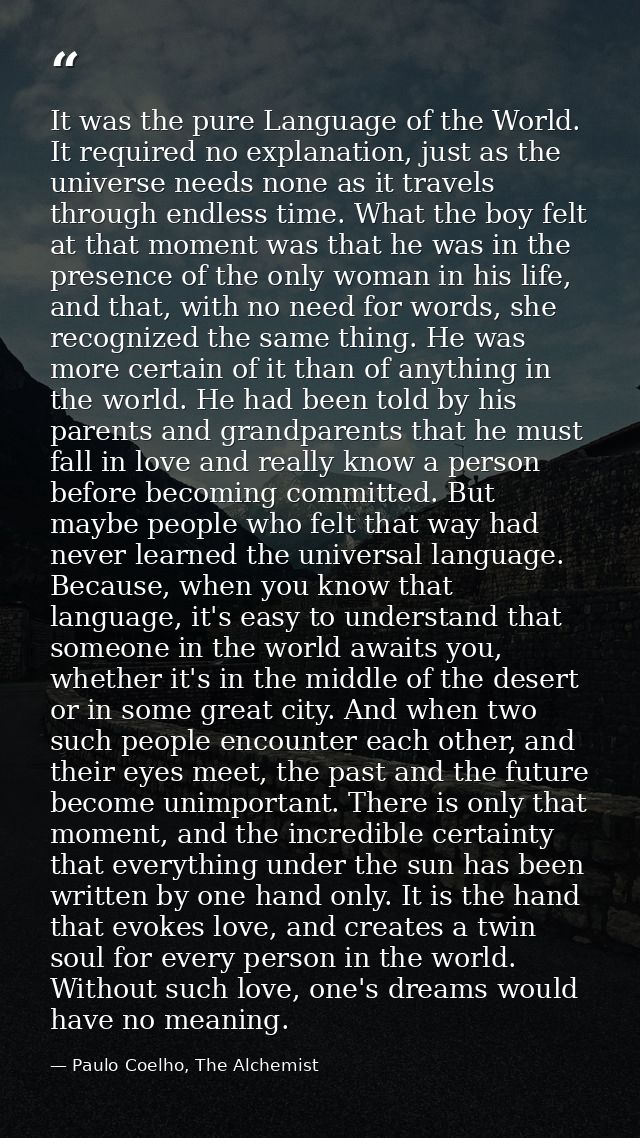It was the pure Language of the World. It required no explanation, just as the universe needs none as it travels through — Paulo Coelho, The Alchemist