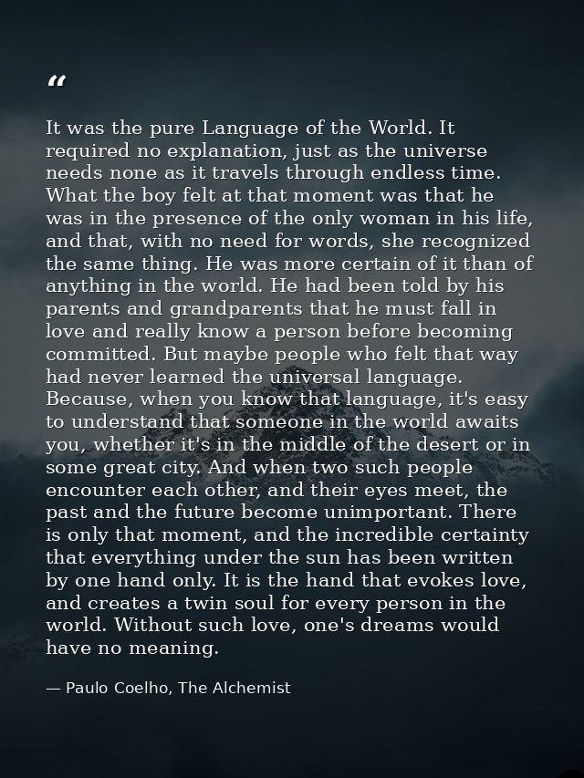 It was the pure Language of the World. It required no explanation, just as the universe needs none as it travels through — Paulo Coelho, The Alchemist