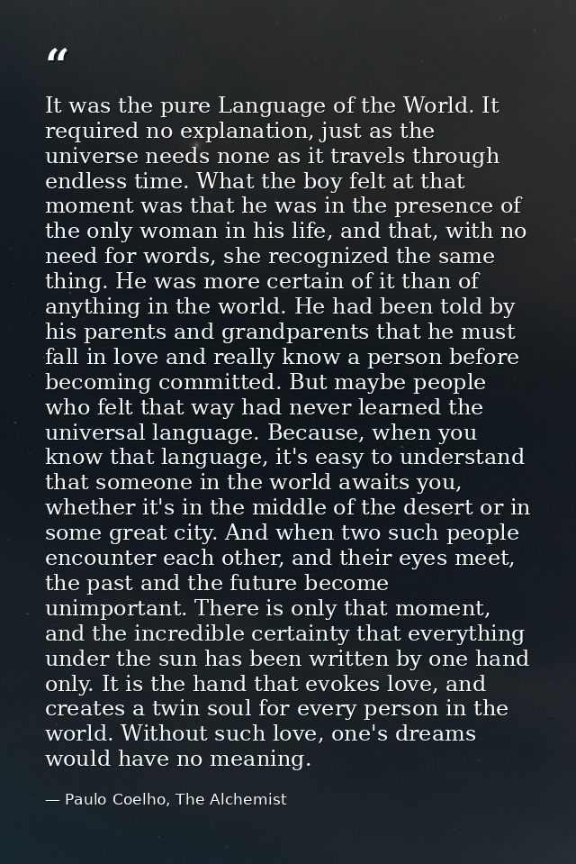 It was the pure Language of the World. It required no explanation, just as the universe needs none as it travels through — Paulo Coelho, The Alchemist