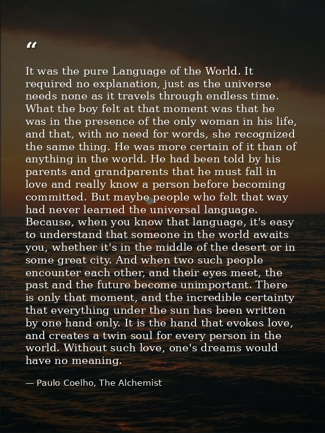 It was the pure Language of the World. It required no explanation, just as the universe needs none as it travels through — Paulo Coelho, The Alchemist
