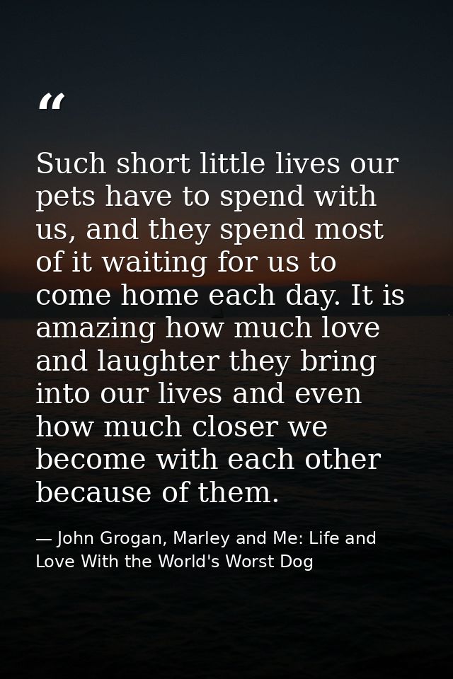 Such short little lives our pets have to spend with us, and they spend most of it waiting for us to come home each day.  — John Grogan, Marley and Me: Life and Love With the World's Worst Dog