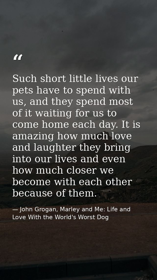 Such short little lives our pets have to spend with us, and they spend most of it waiting for us to come home each day.  — John Grogan, Marley and Me: Life and Love With the World's Worst Dog