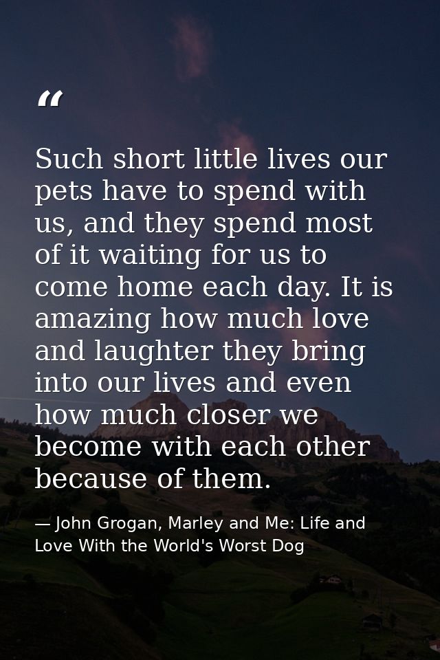 Such short little lives our pets have to spend with us, and they spend most of it waiting for us to come home each day.  — John Grogan, Marley and Me: Life and Love With the World's Worst Dog