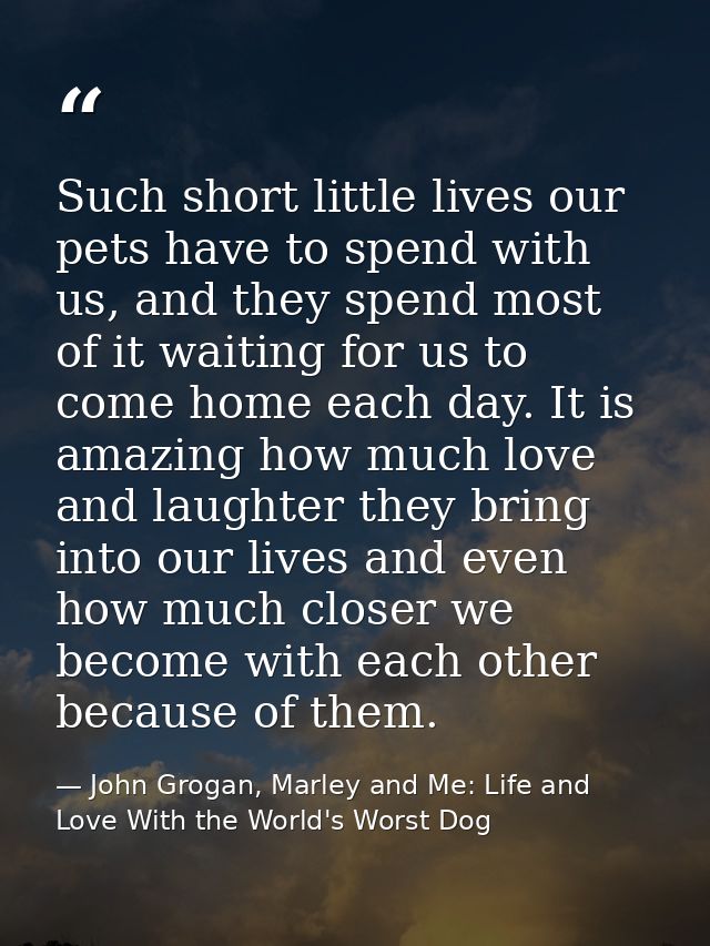 Such short little lives our pets have to spend with us, and they spend most of it waiting for us to come home each day.  — John Grogan, Marley and Me: Life and Love With the World's Worst Dog