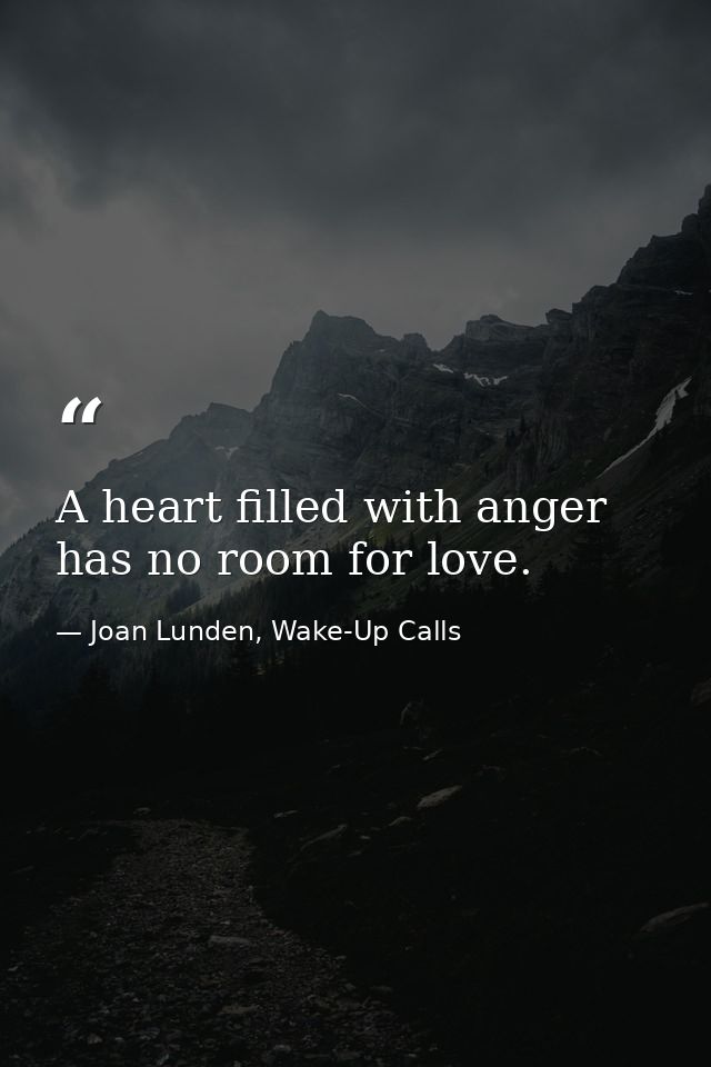 A heart filled with anger has no room for love. — Joan Lunden, Wake-Up Calls