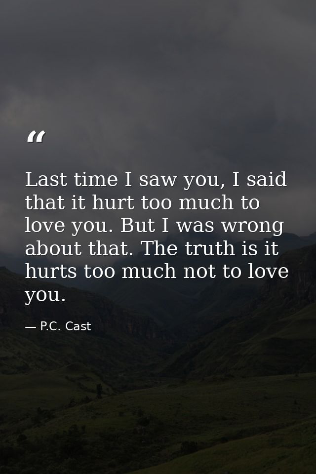 Last time I saw you, I said that it hurt too much to love you. But I was wrong about that. The truth is it hurts too muc — P.C. Cast