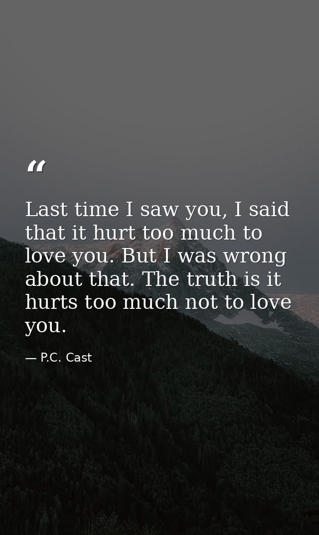 Last time I saw you, I said that it hurt too much to love you. But I was wrong about that. The truth is it hurts too muc — P.C. Cast