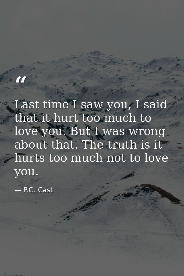 Last time I saw you, I said that it hurt too much to love you. But I was wrong about that. The truth is it hurts too muc — P.C. Cast