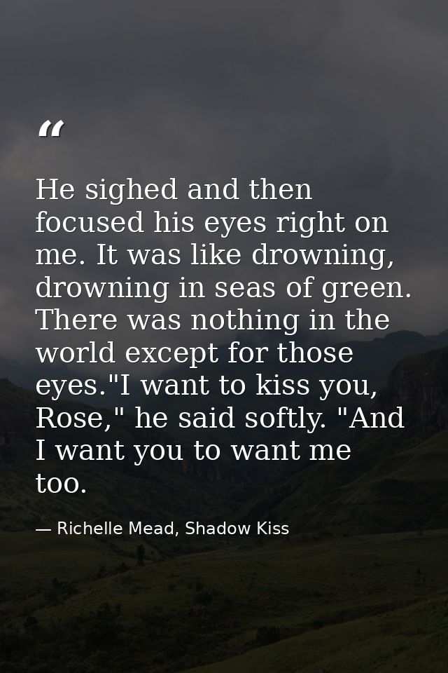 He sighed and then focused his eyes right on me. It was like drowning, drowning in seas of green. There was nothing in t — Richelle Mead, Shadow Kiss