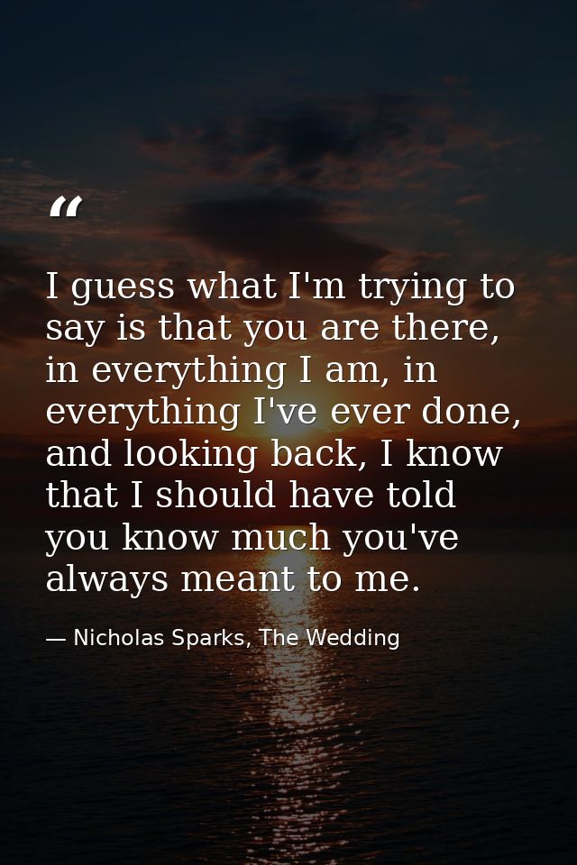 I guess what I'm trying to say is that you are there, in everything I am, in everything I've ever done, and looking back — Nicholas Sparks, The Wedding