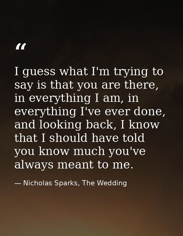 I guess what I'm trying to say is that you are there, in everything I am, in everything I've ever done, and looking back — Nicholas Sparks, The Wedding