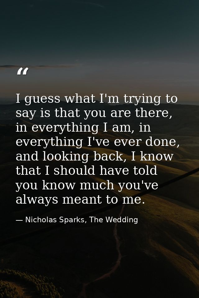 I guess what I'm trying to say is that you are there, in everything I am, in everything I've ever done, and looking back — Nicholas Sparks, The Wedding