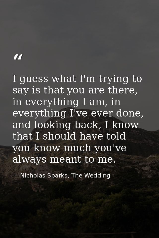 I guess what I'm trying to say is that you are there, in everything I am, in everything I've ever done, and looking back — Nicholas Sparks, The Wedding