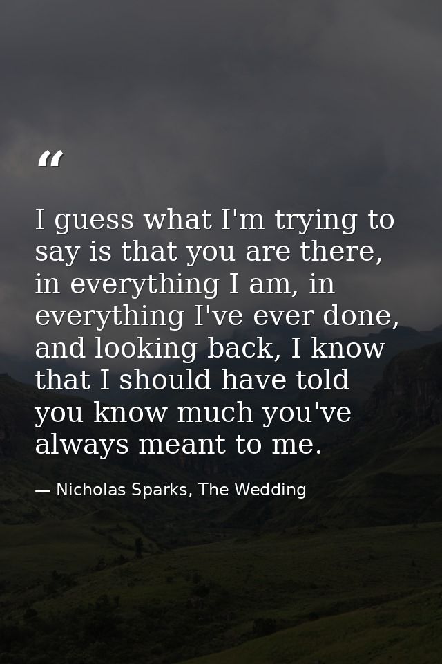 I guess what I'm trying to say is that you are there, in everything I am, in everything I've ever done, and looking back — Nicholas Sparks, The Wedding