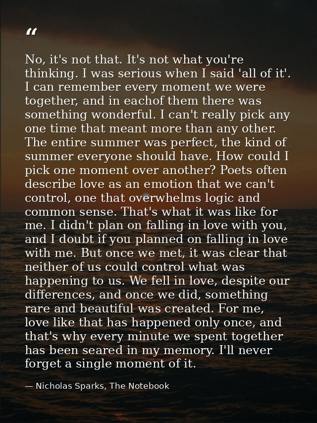 No, it's not that. It's not what you're thinking. I was serious when I said 'all of it'. I can remember every moment we  — Nicholas Sparks, The Notebook