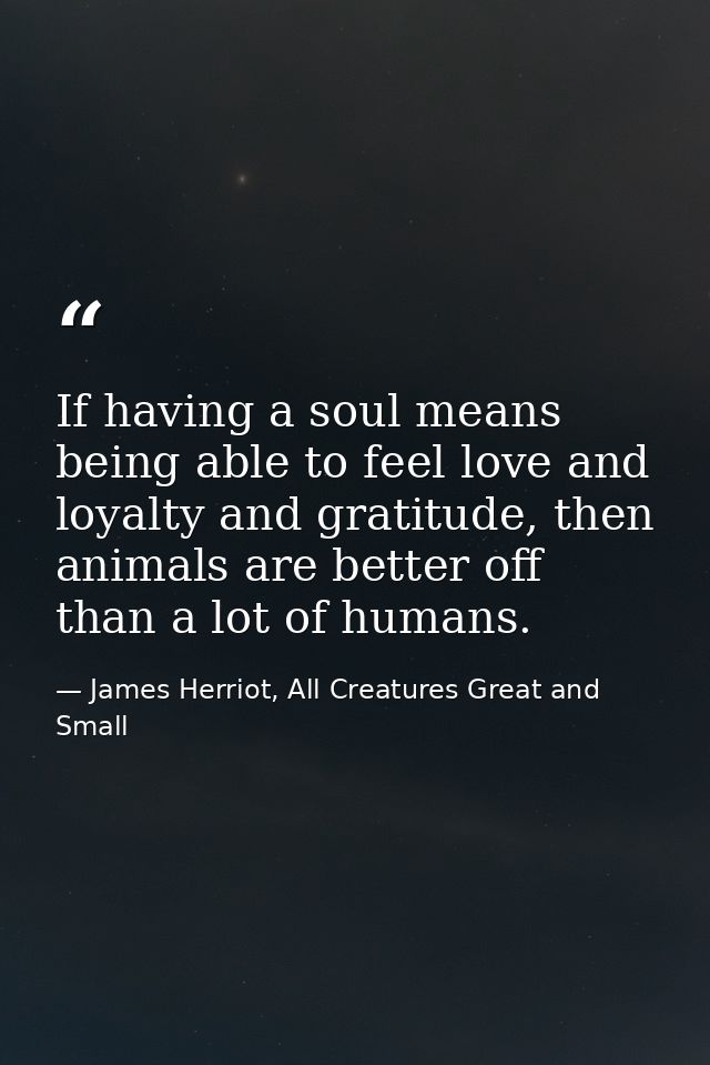 If having a soul means being able to feel love and loyalty and gratitude, then animals are better off than a lot of huma — James Herriot, All Creatures Great and Small
