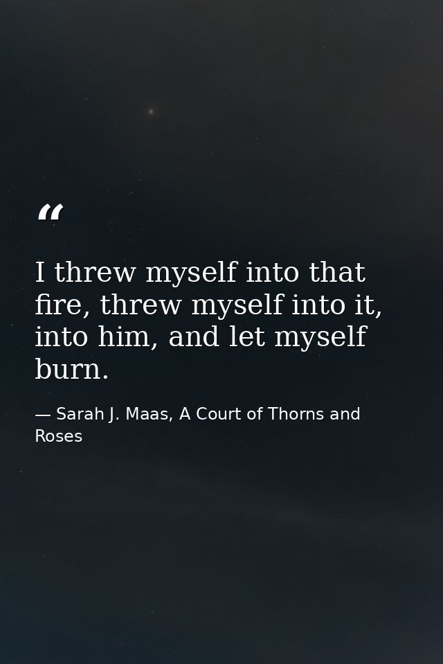 I threw myself into that fire, threw myself into it, into him, and let myself burn. — Sarah J. Maas, A Court of Thorns and Roses