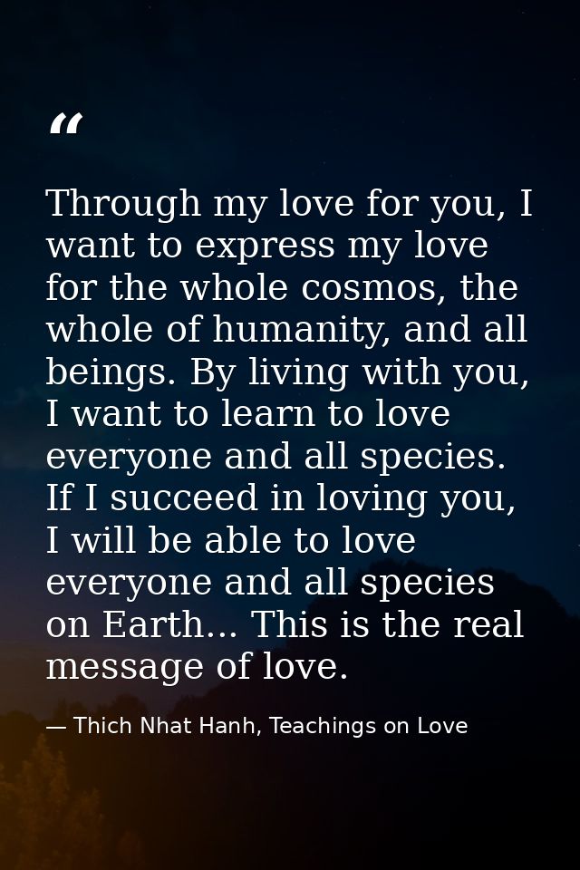 Through my love for you, I want to express my love for the whole cosmos, the whole of humanity, and all beings. By livin — Thich Nhat Hanh, Teachings on Love
