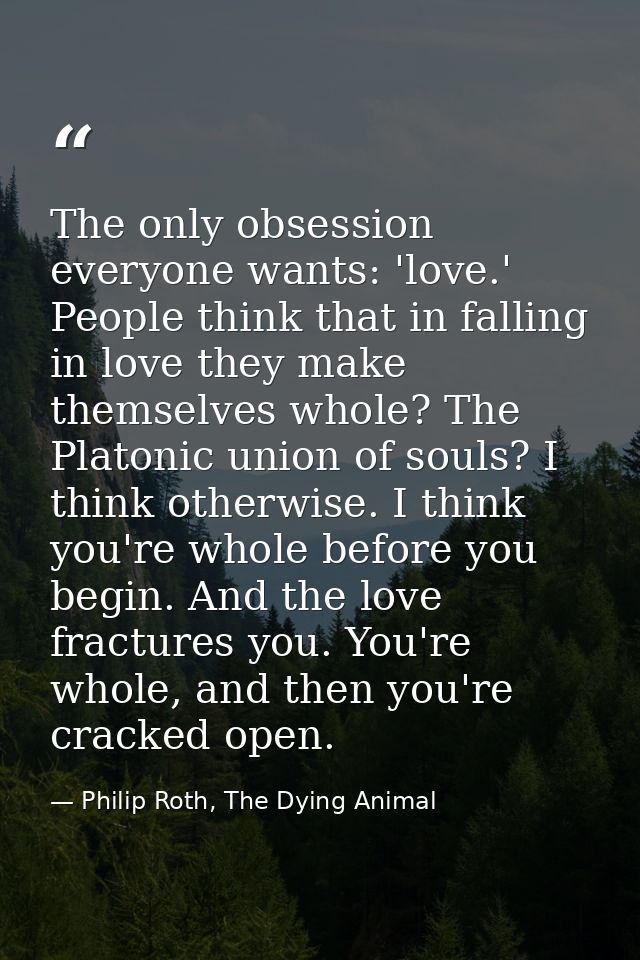 The only obsession everyone wants: 'love.' People think that in falling in love they make themselves whole? The Platonic — Philip Roth, The Dying Animal