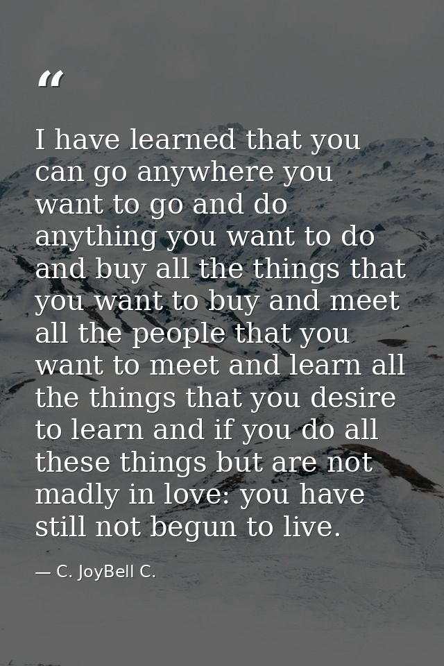 I have learned that you can go anywhere you want to go and do anything you want to do and buy all the things that you wa — C. JoyBell C.