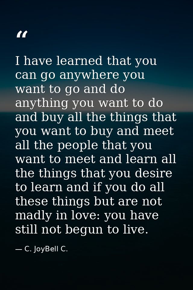I have learned that you can go anywhere you want to go and do anything you want to do and buy all the things that you wa — C. JoyBell C.