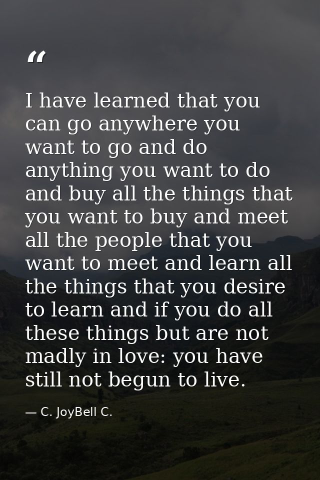 I have learned that you can go anywhere you want to go and do anything you want to do and buy all the things that you wa — C. JoyBell C.