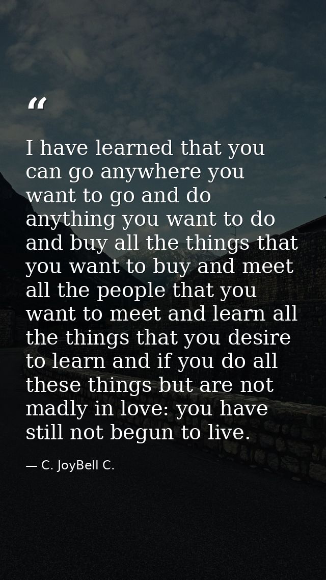 I have learned that you can go anywhere you want to go and do anything you want to do and buy all the things that you wa — C. JoyBell C.