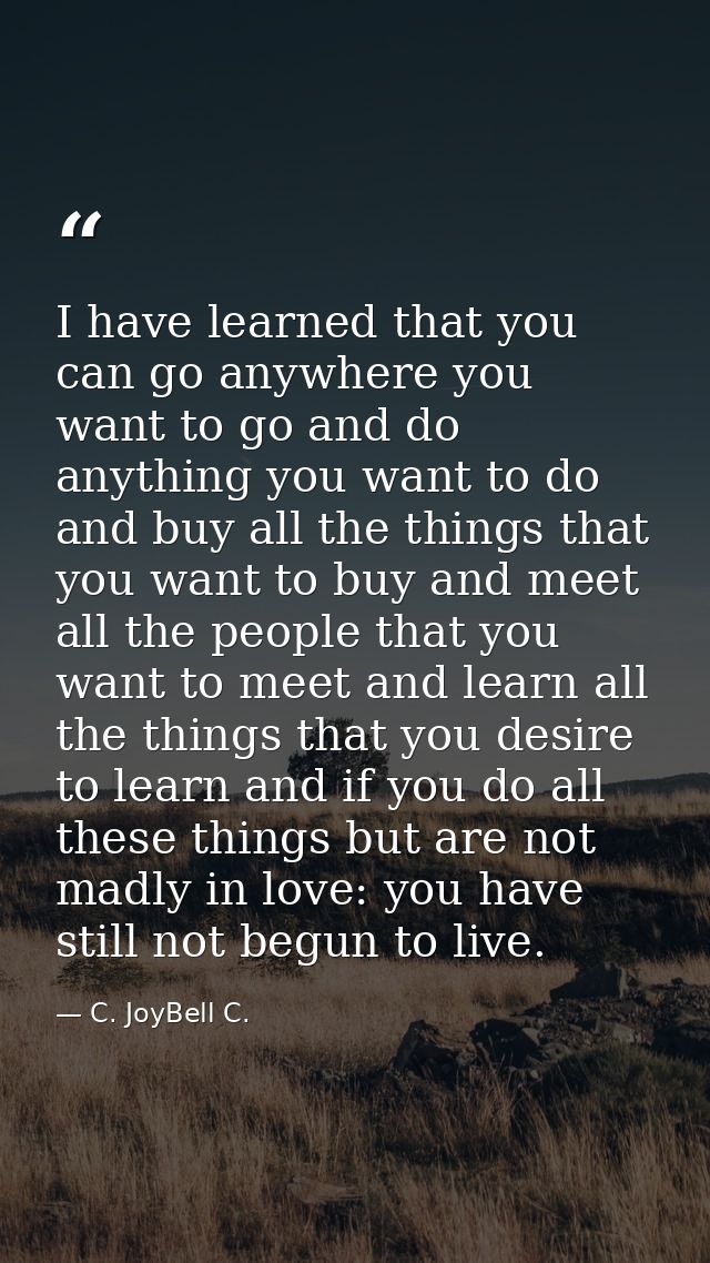 I have learned that you can go anywhere you want to go and do anything you want to do and buy all the things that you wa — C. JoyBell C.