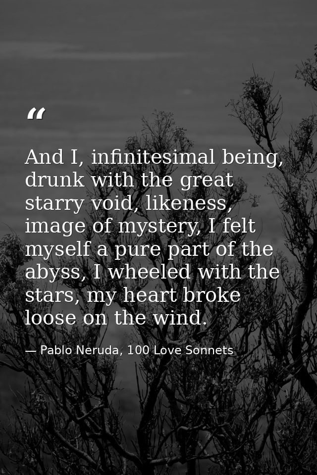 And I, infinitesima­l being, drunk with the great starry void, likeness, image of mystery, I felt myself a pure part of  — Pablo Neruda, 100 Love Sonnets