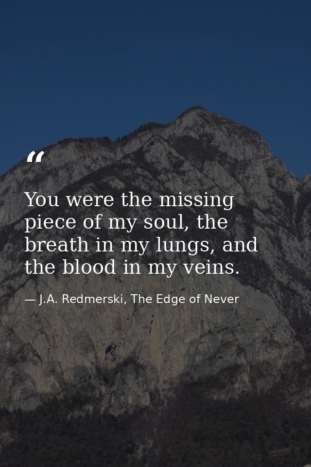 You were the missing piece of my soul, the breath in my lungs, and the blood in my veins. — J.A. Redmerski, The Edge of Never