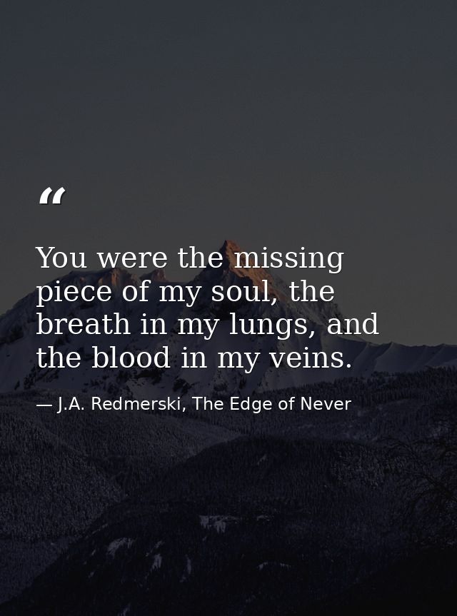 You were the missing piece of my soul, the breath in my lungs, and the blood in my veins. — J.A. Redmerski, The Edge of Never
