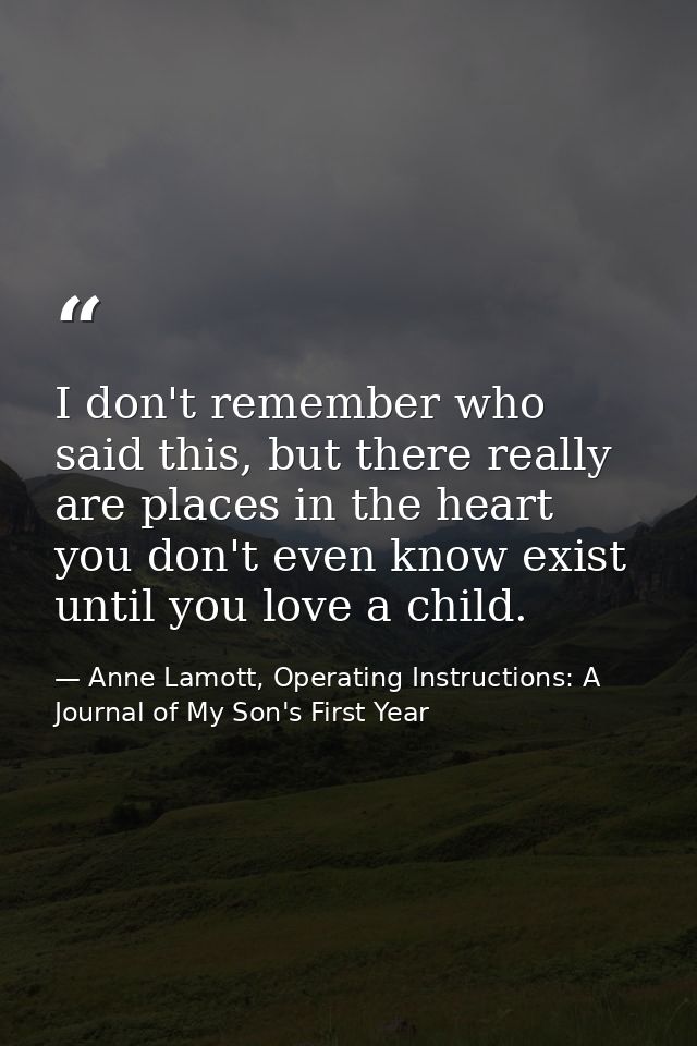 I don't remember who said this, but there really are places in the heart you don't even know exist until you love a chil — Anne Lamott, Operating Instructions: A Journal of My Son's First Year