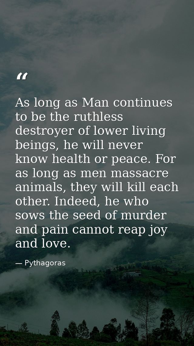 As long as Man continues to be the ruthless destroyer of lower living beings, he will never know health or peace. For as — Pythagoras