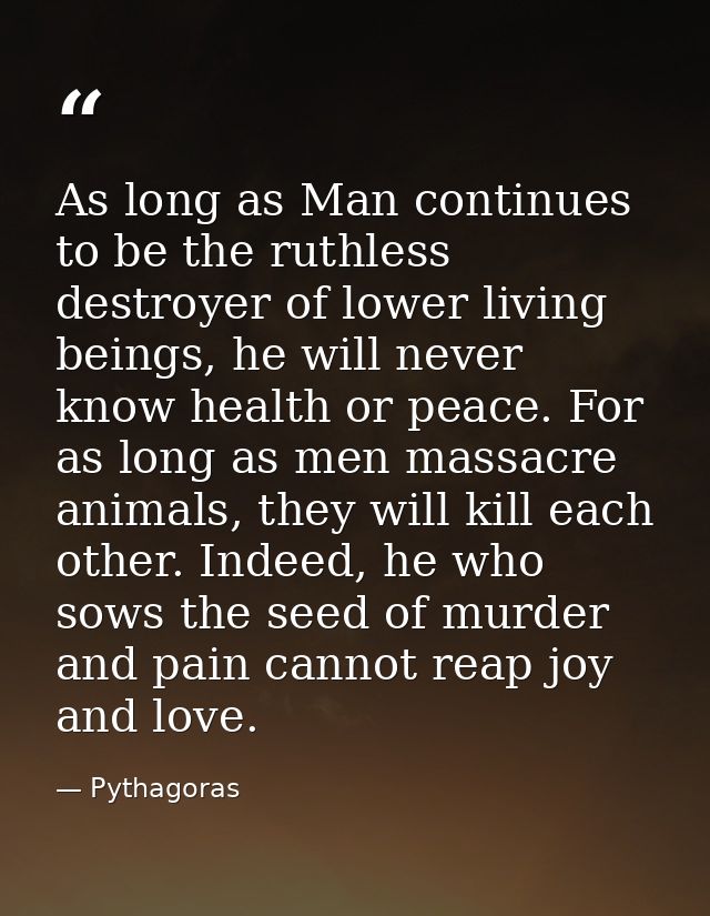As long as Man continues to be the ruthless destroyer of lower living beings, he will never know health or peace. For as — Pythagoras