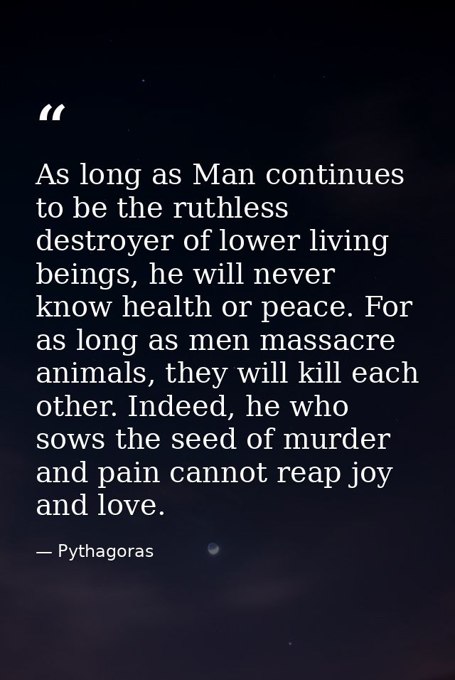 As long as Man continues to be the ruthless destroyer of lower living beings, he will never know health or peace. For as — Pythagoras